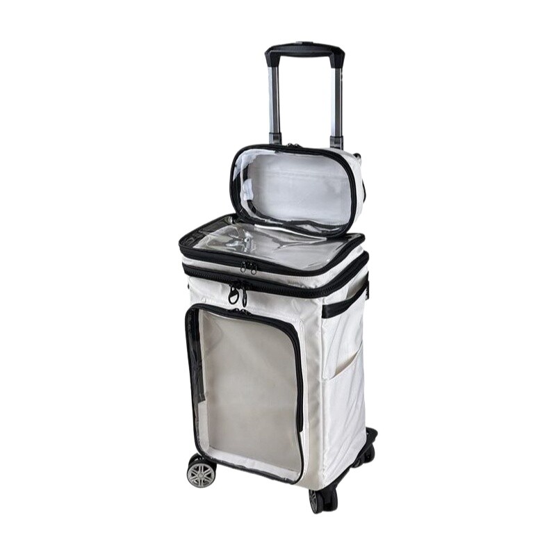 Travel Packing Cube - Bagaglio trasparente stile cartone animato Harajuku