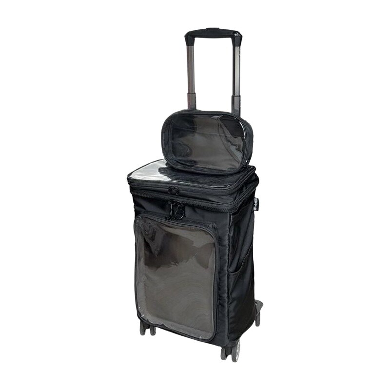 Bagaglio trasparente stile car - Travel Packing Cube recensione e prezzo